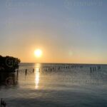 listing image thumbnail with ID 64566