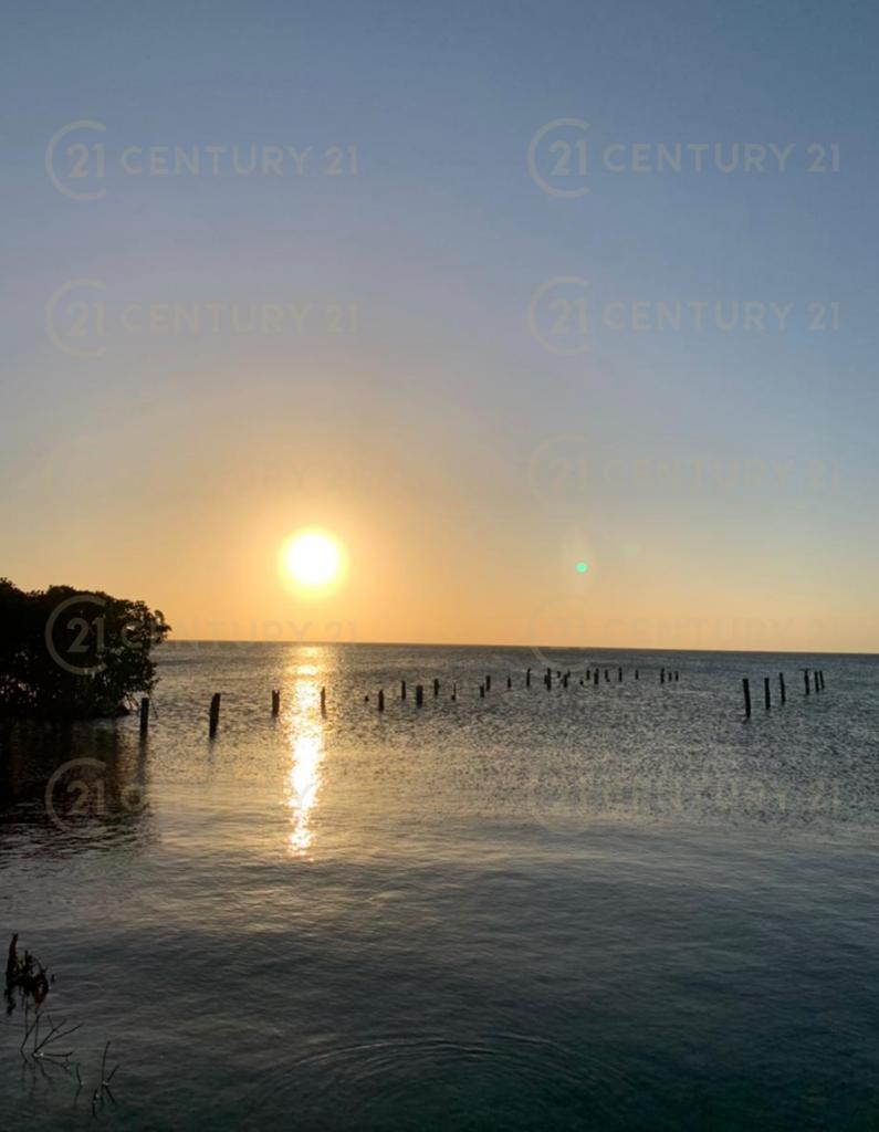 listing image with ID 64566