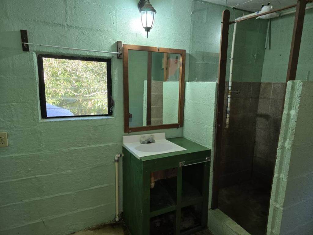 listing image with ID 64609