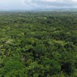 listing image thumbnail with ID 65242