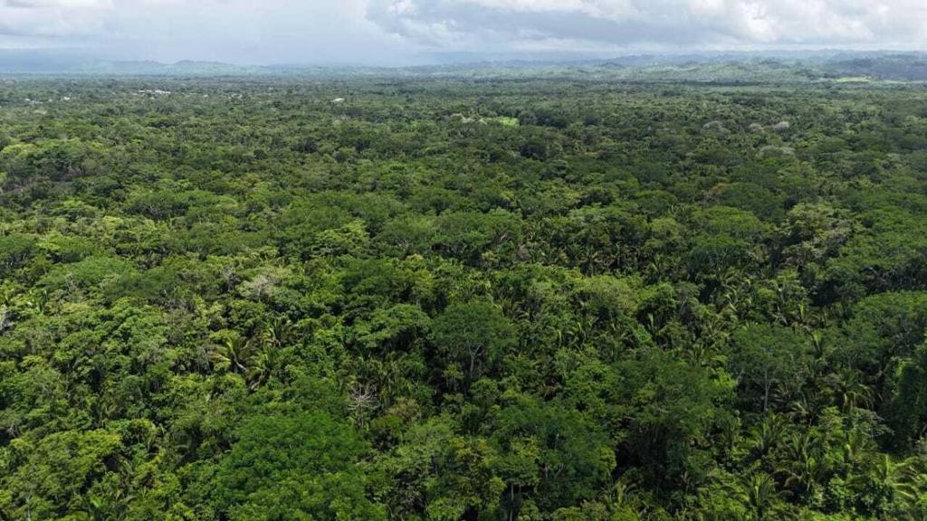 listing image with ID 65242