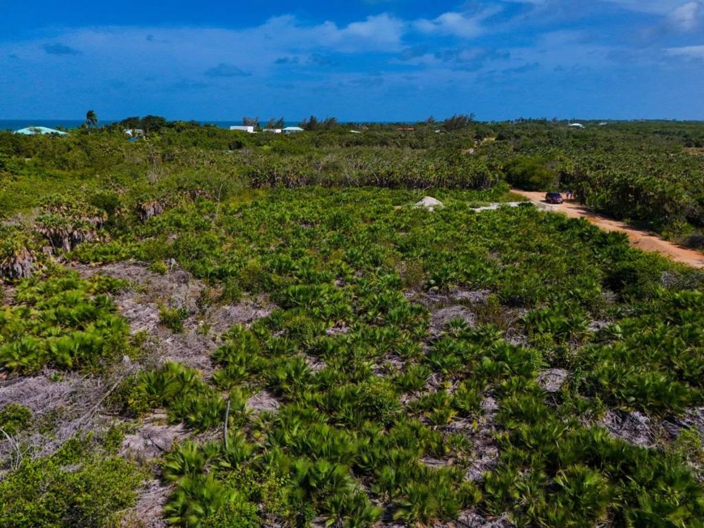 listing image with ID 68187