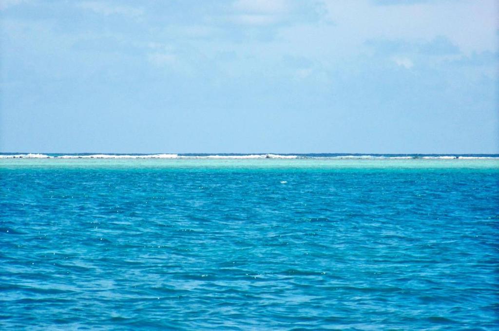 listing image with ID 65399