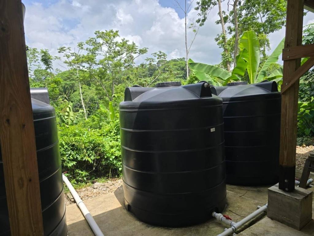 listing image with ID 68280