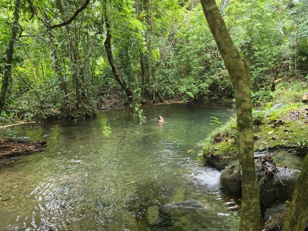 listing image with ID 68260