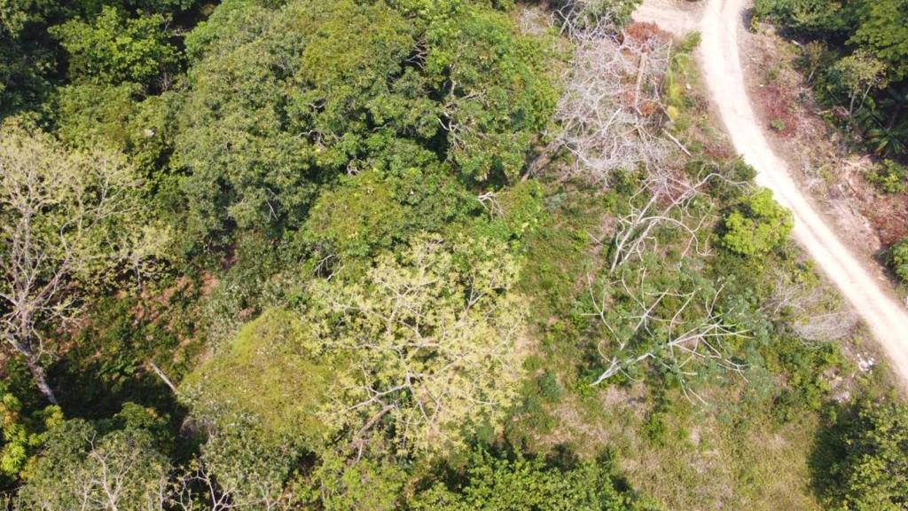 listing image with ID 65114