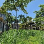 listing image thumbnail with ID 67505