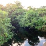 listing image thumbnail with ID 65017