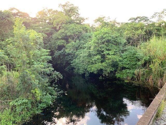 listing image with ID 65017