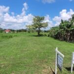 listing image thumbnail with ID 67721