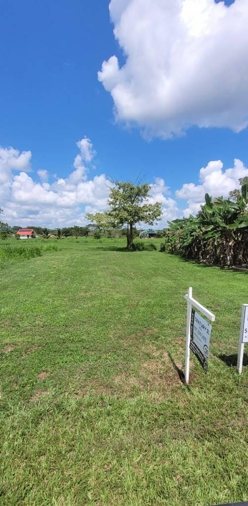 listing image with ID 67721