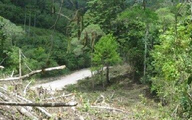 listing image with ID 65635