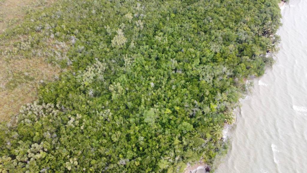 listing image with ID 64023