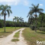 listing image thumbnail with ID 69346