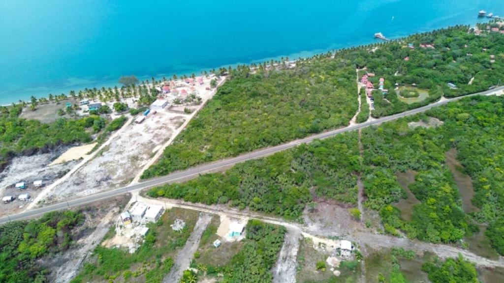 listing image with ID 66243