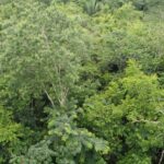 listing image thumbnail with ID 66276