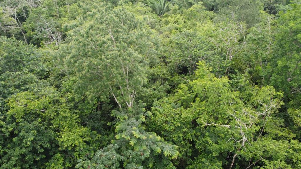 listing image with ID 66276