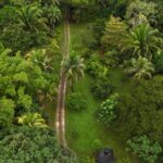 listing image thumbnail with ID 65264