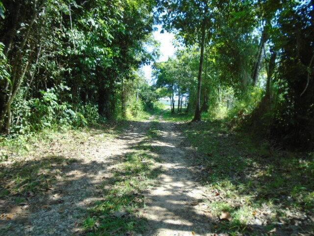 listing image with ID 64806