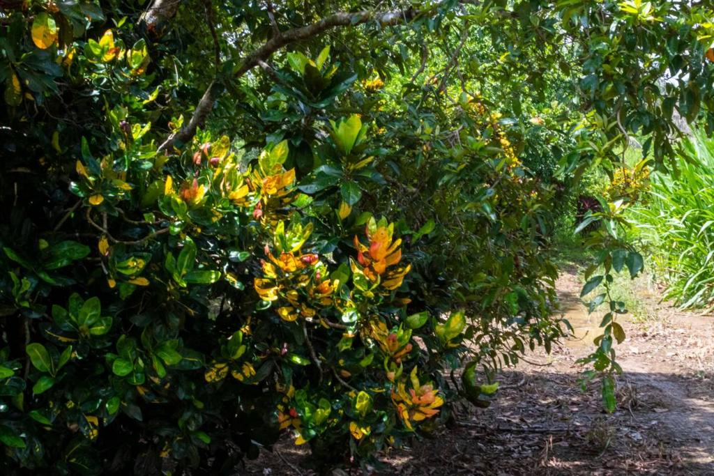 listing image with ID 67694