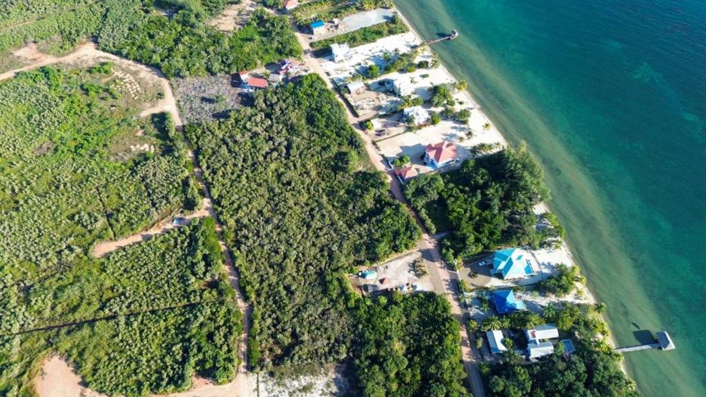 listing image with ID 67823