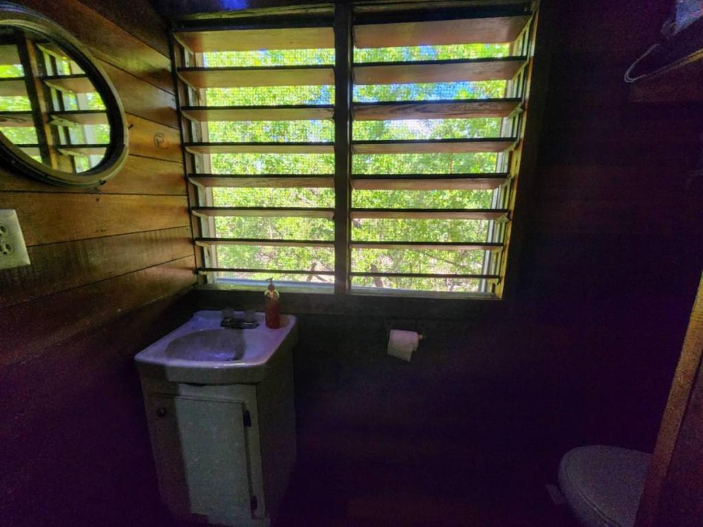 listing image with ID 65939