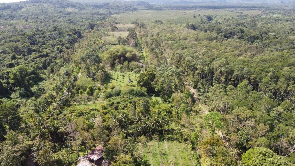 listing image with ID 64976