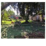 listing image thumbnail with ID 65053