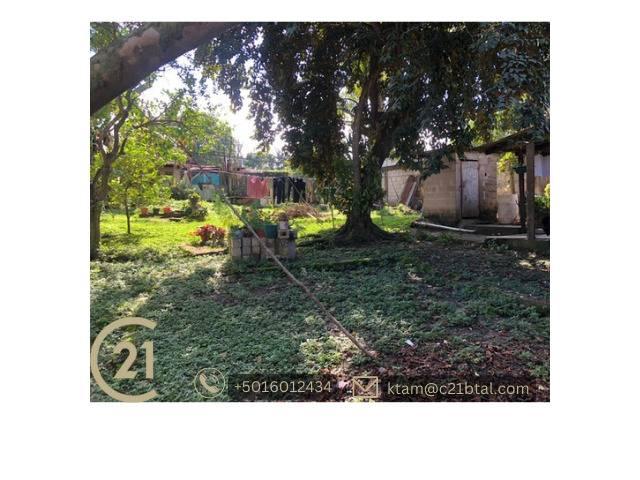 listing image with ID 65053