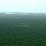 listing image thumbnail with ID 68097