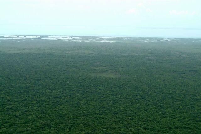 listing image with ID 68097