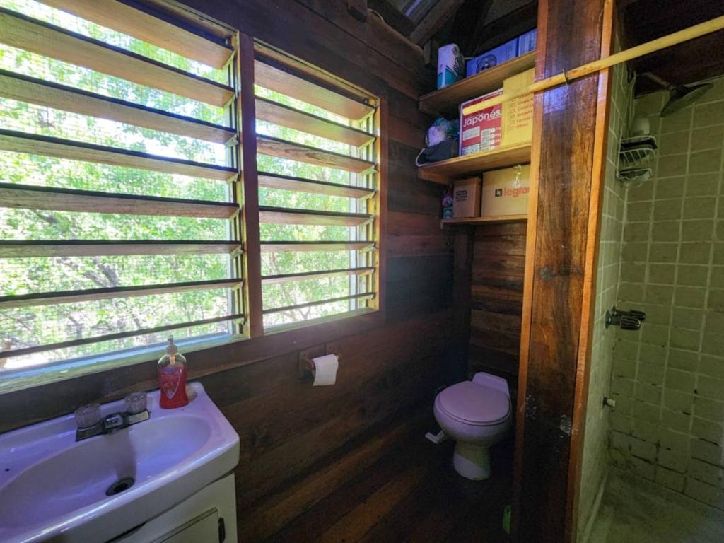 listing image with ID 65941