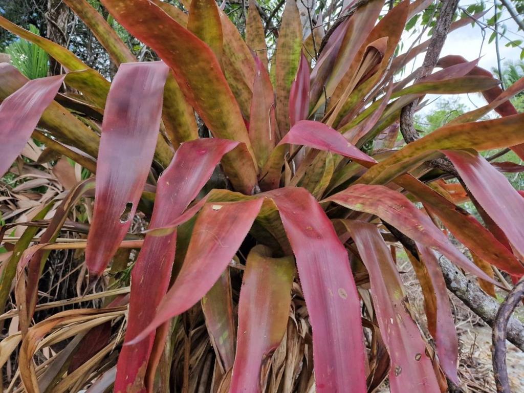 listing image with ID 63712