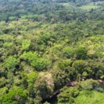 listing image thumbnail with ID 64860