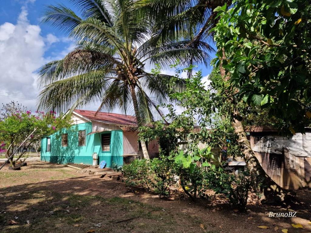 listing image with ID 67987