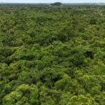 listing image thumbnail with ID 67086