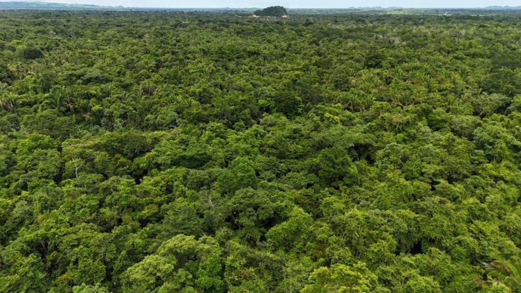 listing image with ID 67086