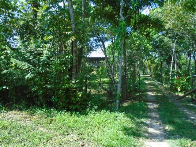 listing image with ID 64791