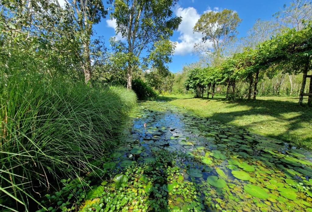 listing image with ID 64971