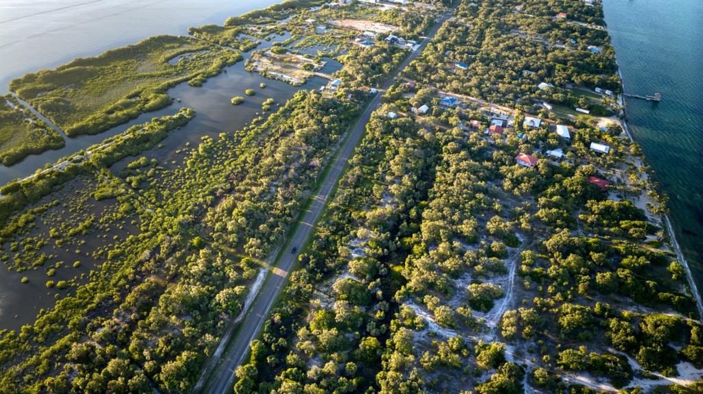 listing image with ID 68731