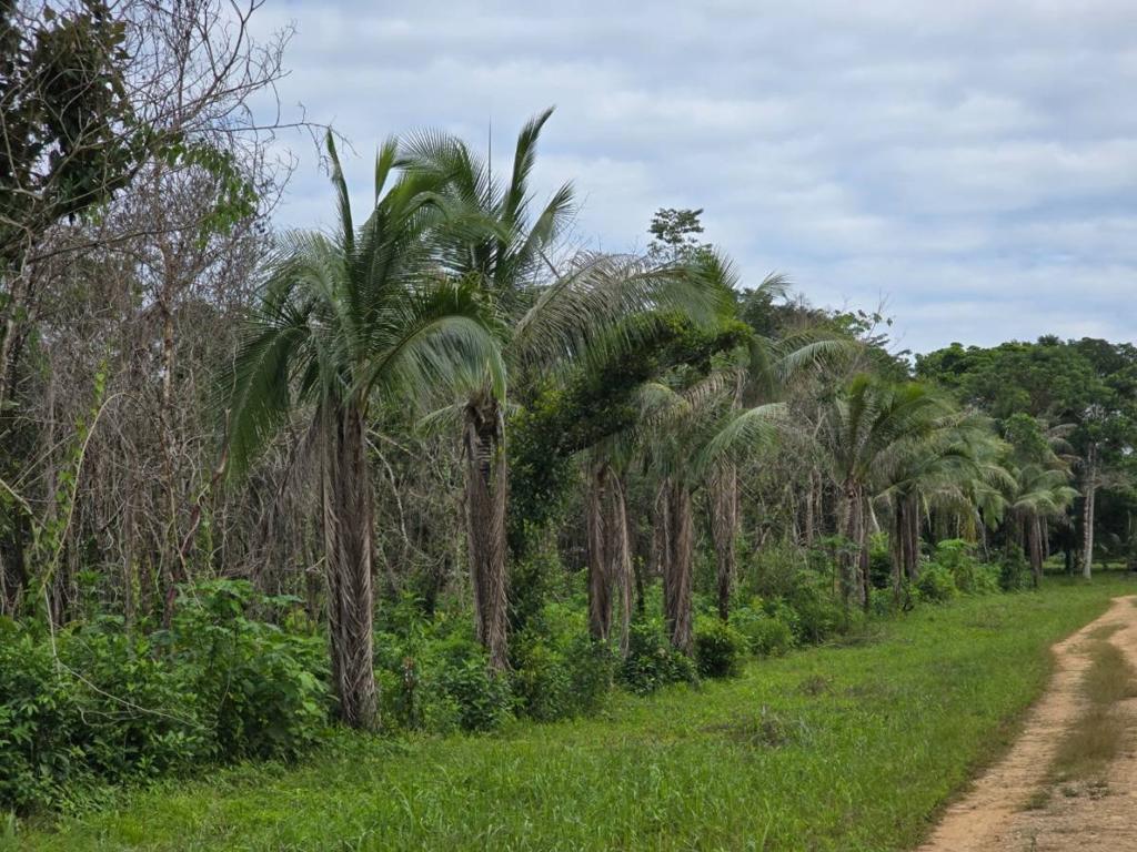 listing image with ID 66552