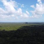 listing image thumbnail with ID 64255