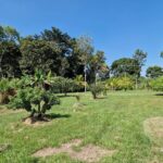 listing image thumbnail with ID 64958