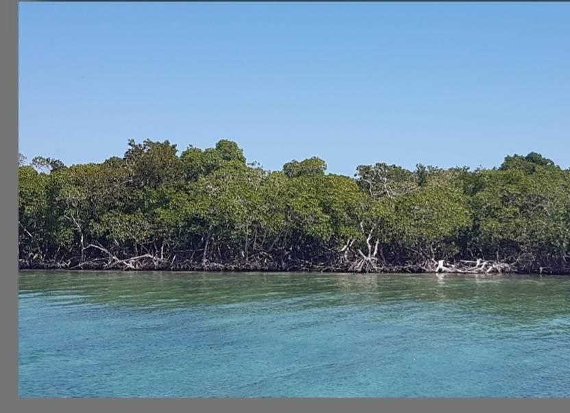 listing image with ID 67059