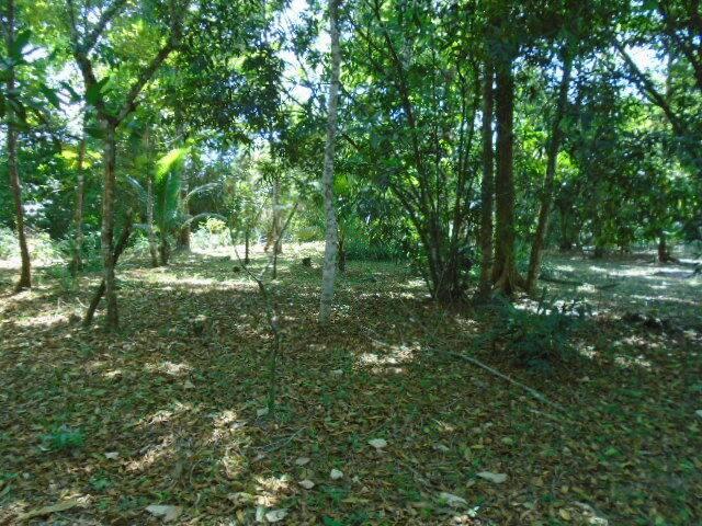 listing image with ID 64789