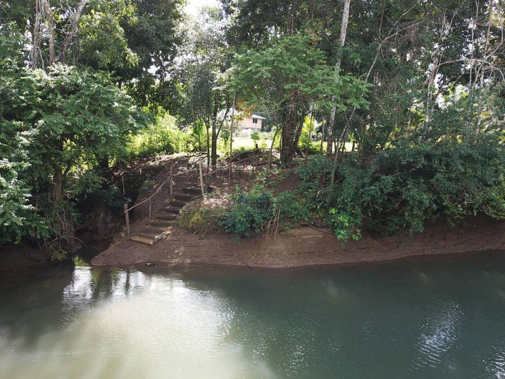 listing image with ID 67348