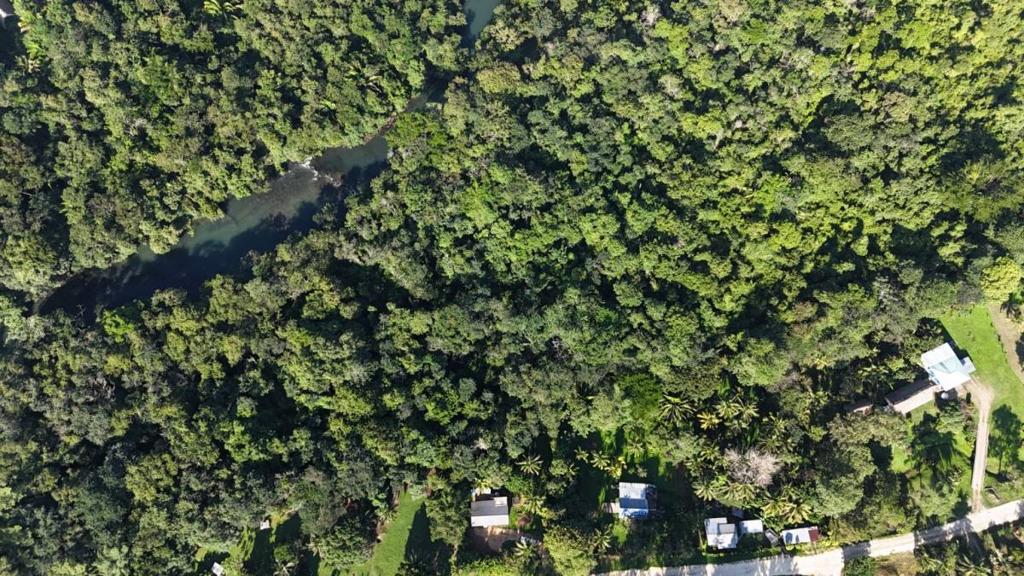 listing image with ID 64583