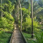 listing image thumbnail with ID 66892