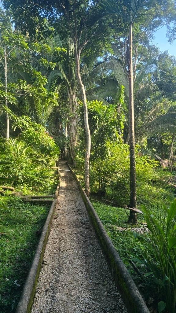 listing image with ID 66892