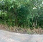 listing image thumbnail with ID 65038